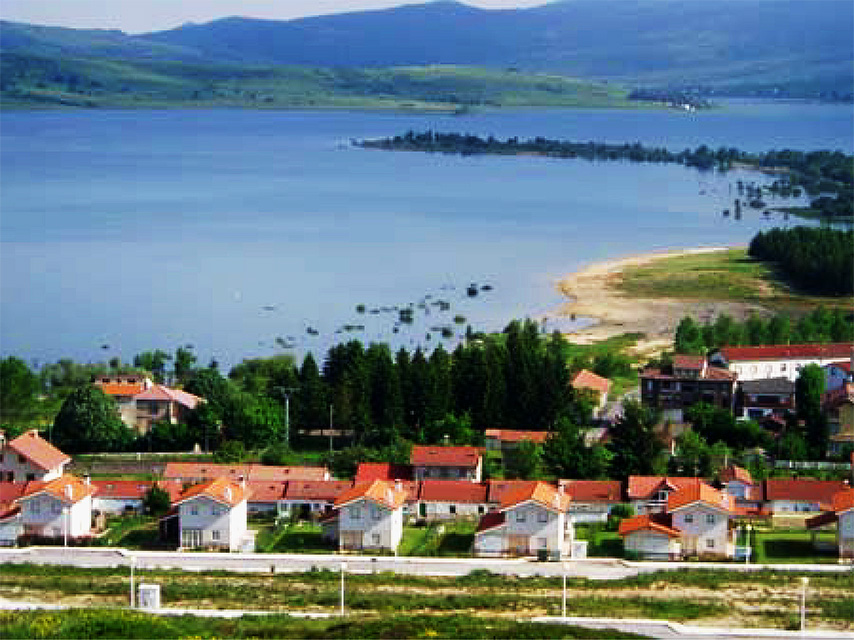 Arija 6